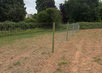Agricultural Fencing in Shropshire