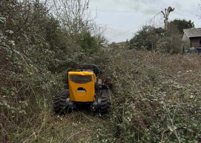 Agricultural Fencing in Shropshire