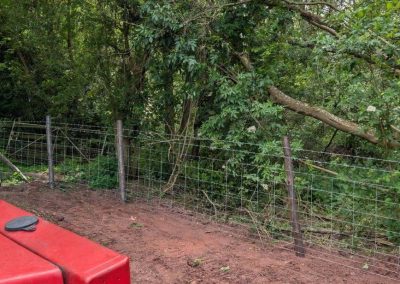 Agricultural Fencing in Shropshire