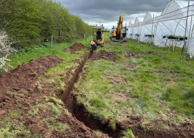 Agricultural Fencing in Shropshire